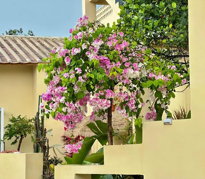 海亲子游5天4晚价格跟团五日游报价新葡京博彩北海亲子跟团游多少钱？北(图2)