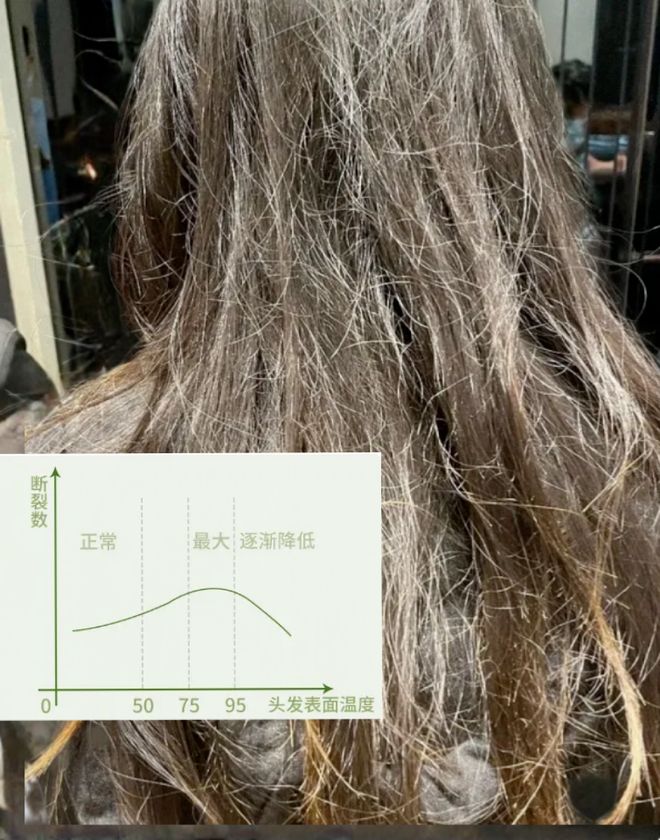 的吹风机就不配有一头秀发了？澳门新葡京app用不起好几千(图11)